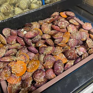 무한조개 리뷰 사진