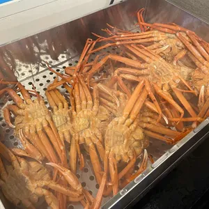 무한조개 사진