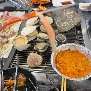 무한조개 사진