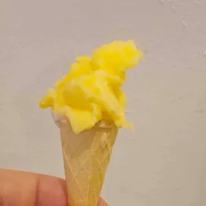 크레모 대표 사진