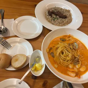 퀴비 사진