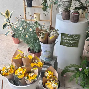 코제무드 리뷰 사진