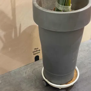 누누커피 리뷰 사진