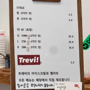 트레비 리뷰 사진