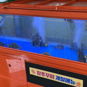 쭈꾸미가알고싶다 리뷰 사진
