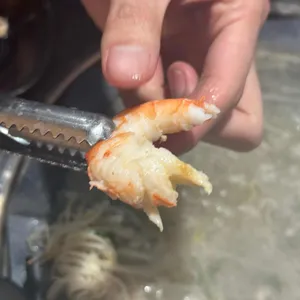조개1번가 사진