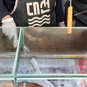 서희원꼬지닷컴 리뷰 사진