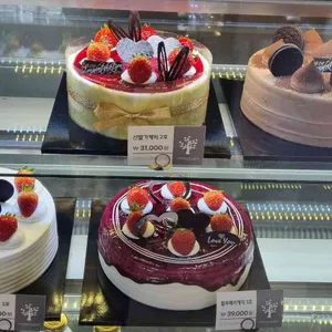 바오밥나무 사진