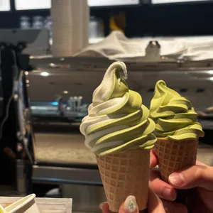 폴바셋 사진