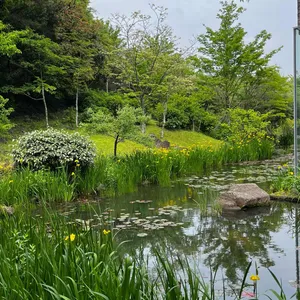 오설록 티 뮤지엄 리뷰 사진