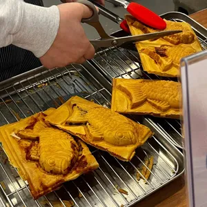 살찐붕어 사진