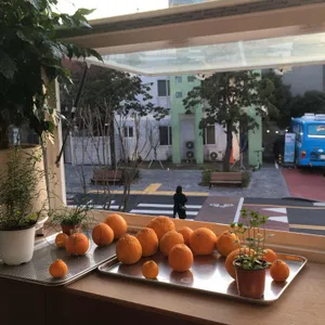 평화다방 리뷰 사진