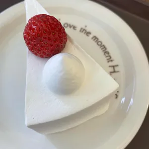 한스 사진 2