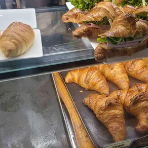 뉴문 사진