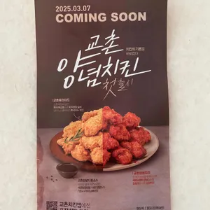 교촌치킨 리뷰 사진