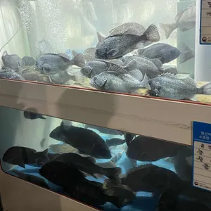 청정횟집 사진
