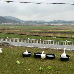 함평나비카페 리뷰 사진
