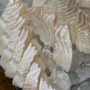 역북동물고기 사진