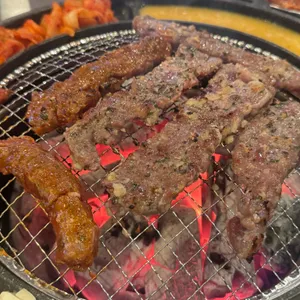 부산갈매기 사진