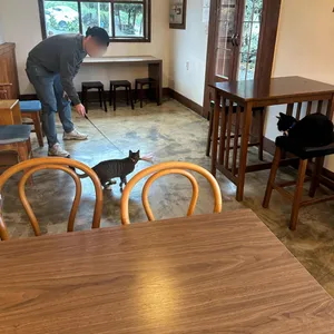 올데이모즈 리뷰 사진