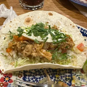 벨라또띠아 사진