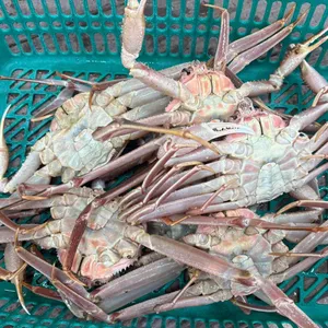 동해일출 리뷰 사진