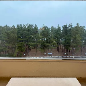 보사노바 커피로스터스 리뷰 사진