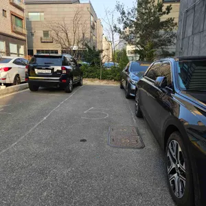 세렌 리뷰 사진