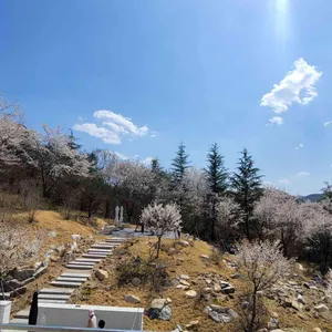 몽구도원 리뷰 사진
