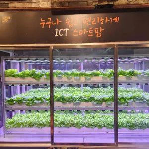 제철쌈밥 리뷰 사진