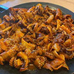 빨간쭈꾸미 사진