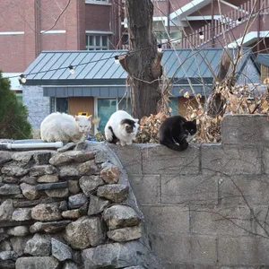 커피가이 리뷰 사진