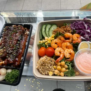 스노우폭스 사진