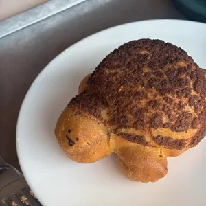 거북잇슈 사진