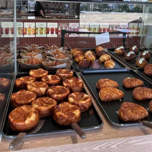 문버드 사진