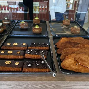 문버드 사진