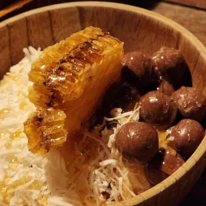도토리 사진