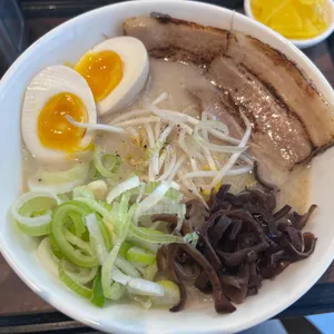 코지라멘 사진