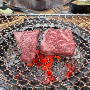 오직한우 사진