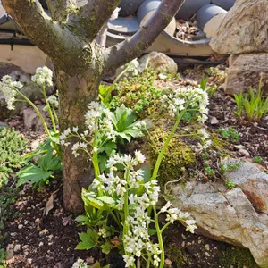 자미궁 제빵소 사진