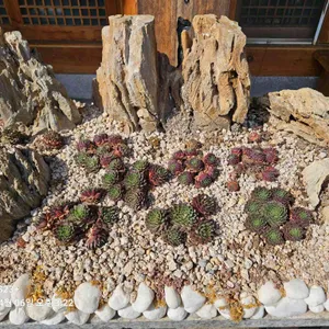 자미궁 제빵소 사진