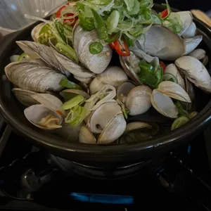 파도 사진