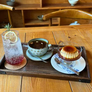 백록림 사진