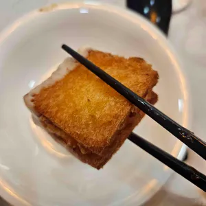 하이보 사진
