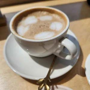 디아즈 사진