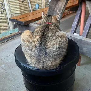 아이러브왜목 리뷰 사진