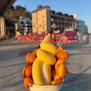 여수달구나 사진