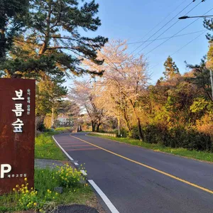 보름숲 리뷰 사진
