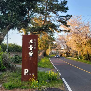 보름숲 리뷰 사진