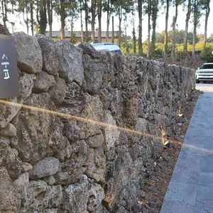 보름숲 리뷰 사진